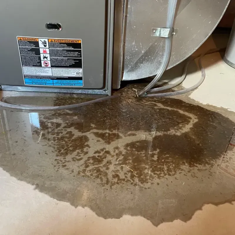 Appliance Leak Cleanup in Foscoe, NC